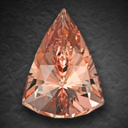 AGTA 1st place Morganite